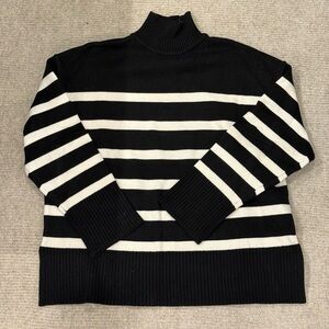 Zara Black and White Striped Turtleneck Sweater